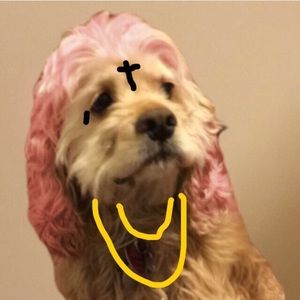 Meet your Posher, Donny